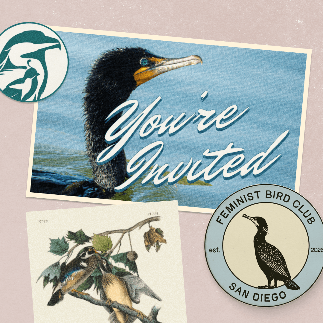Birding for Birdability at Santee Lakes