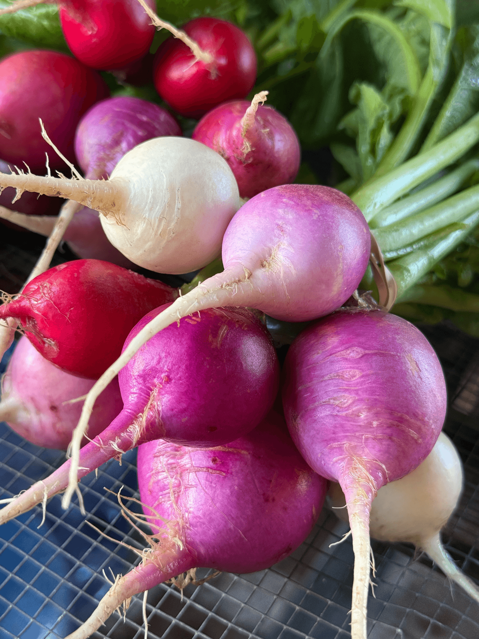 Gratitude Season Feast: A Farm to Table Experience