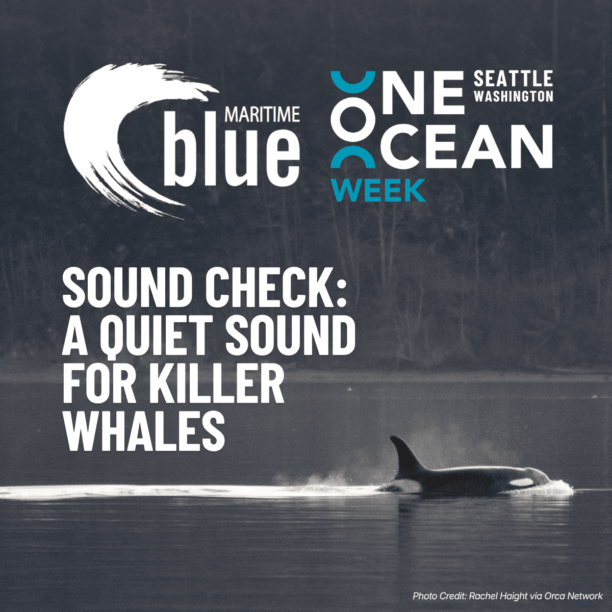 Sound Check: A Quiet Sound for Killer Whales