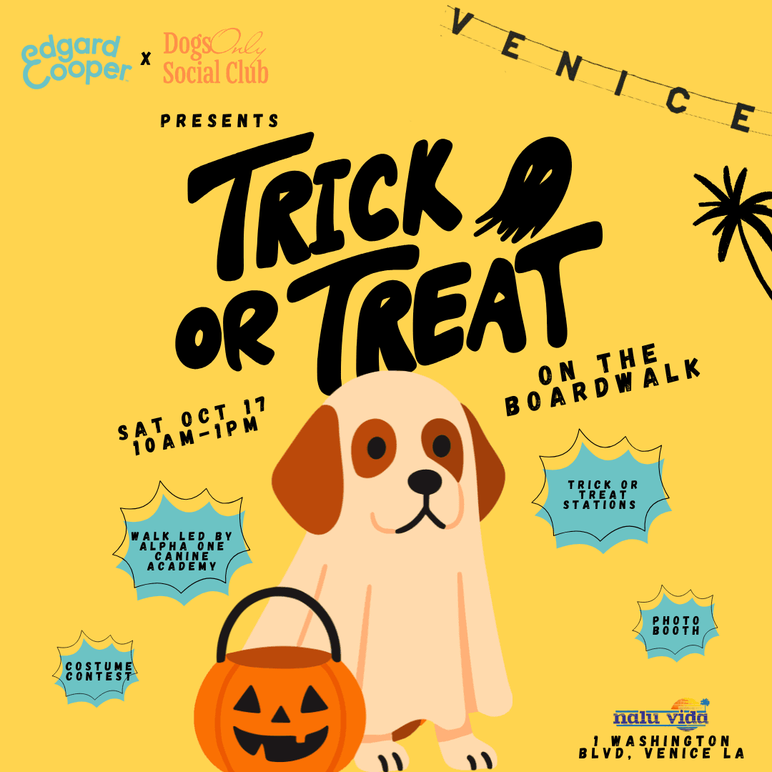 Trick or Treat on the Boardwalk 🎃