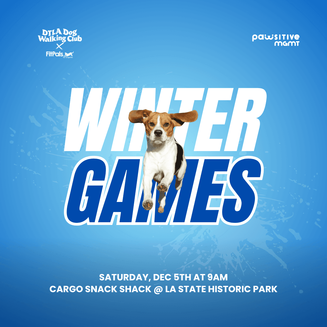 DTLA DOG WALKING CLUB × PAWSITIVE MGMT — WINTER GAMES 2026